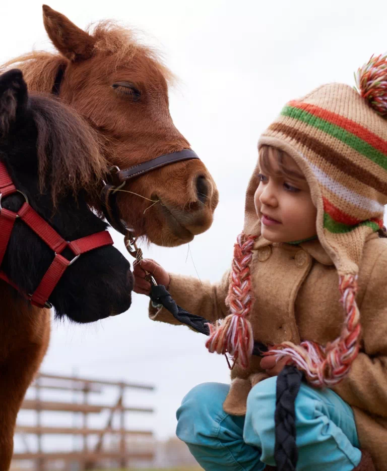 Dziecko i koń